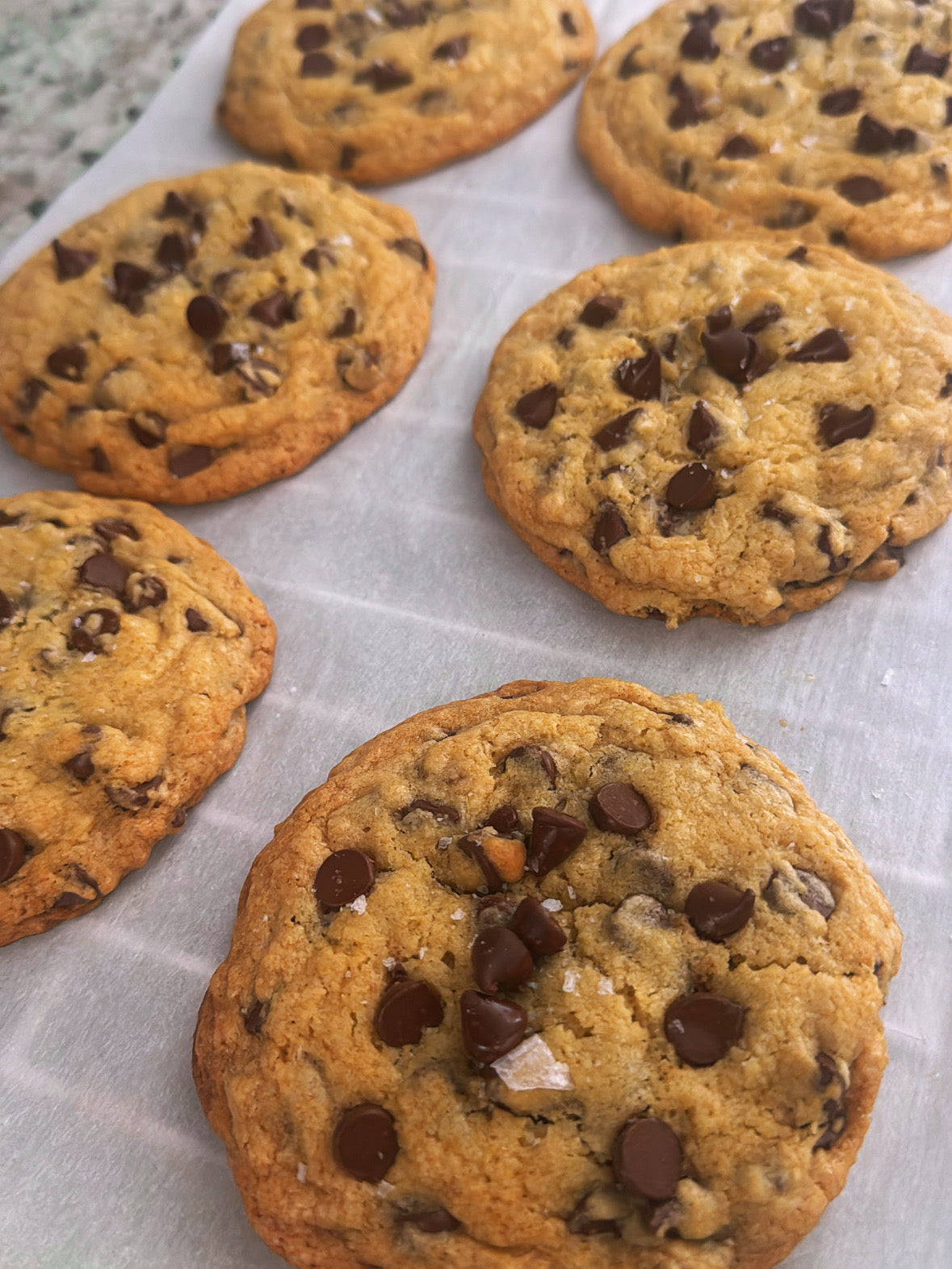 Chocolatiest Chocolate Chip Cookie